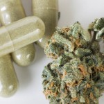 maconha_medicinal4