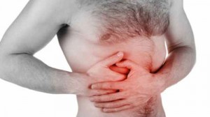 pancreas.